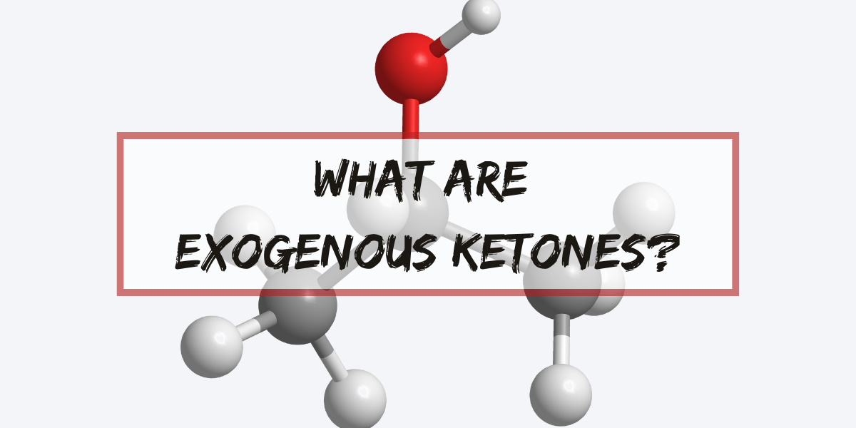 What Are Exogenous Ketones
